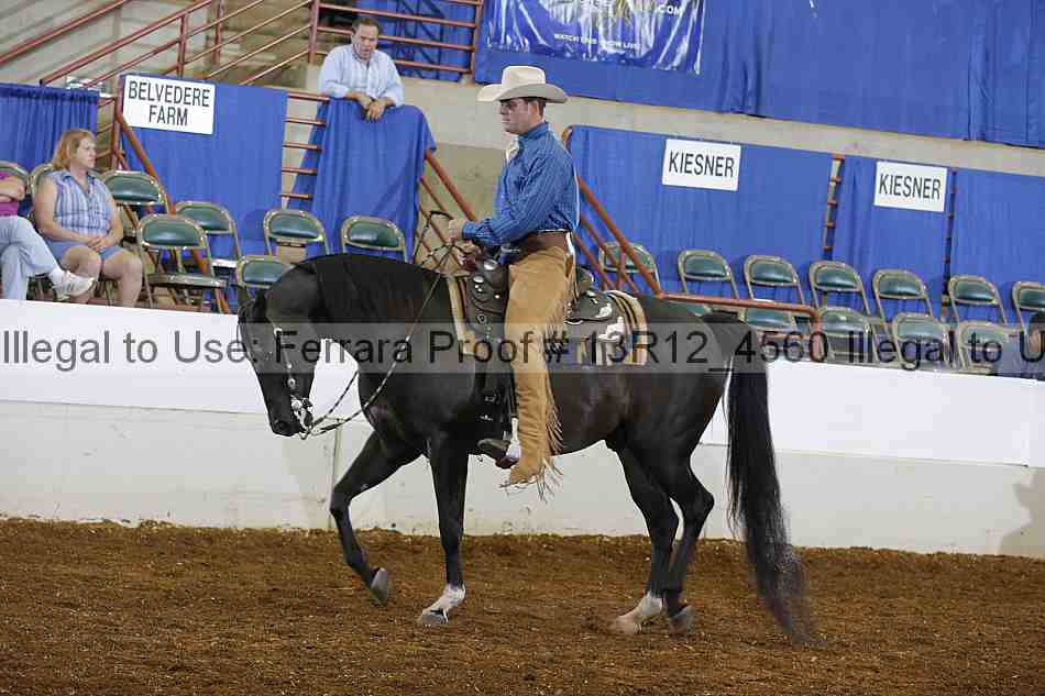 Proof Number 13r12_4560
