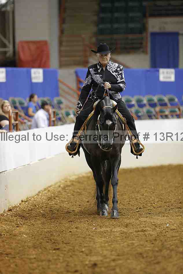 Proof Number 13r12_4561