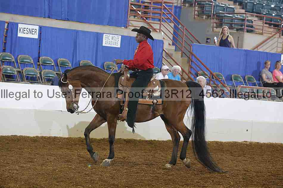 Proof Number 13r12_4562