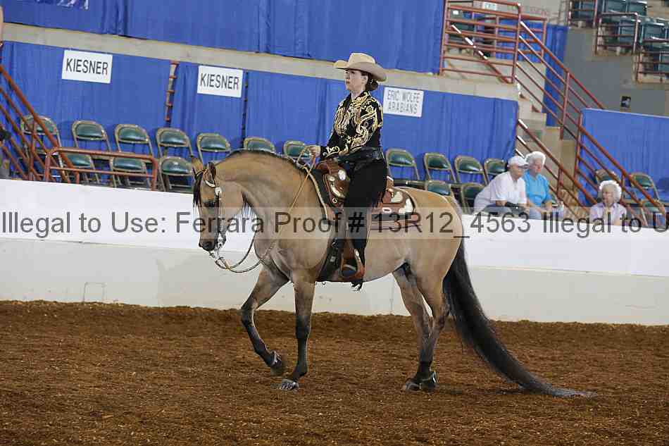 Proof Number 13r12_4563