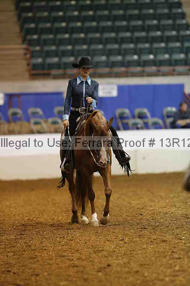 Proof Number 13r12_4565