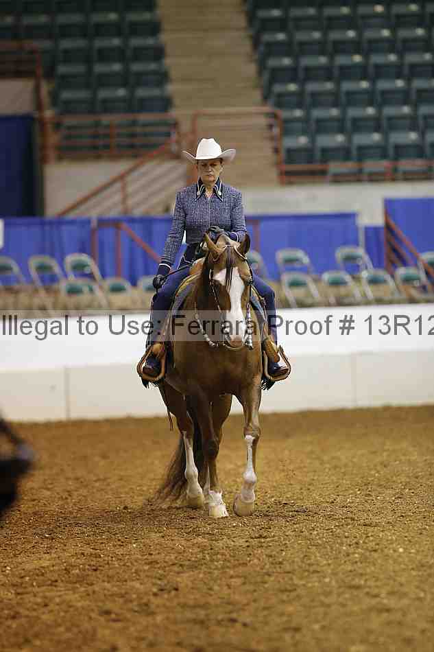 Proof Number 13r12_4567