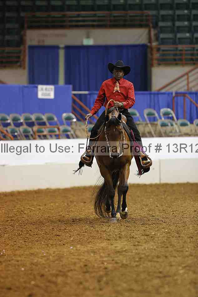 Proof Number 13r12_4589