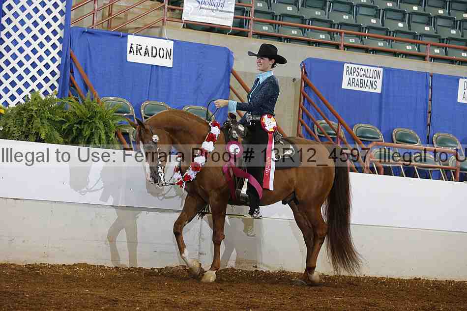 Proof Number 13r12_4597