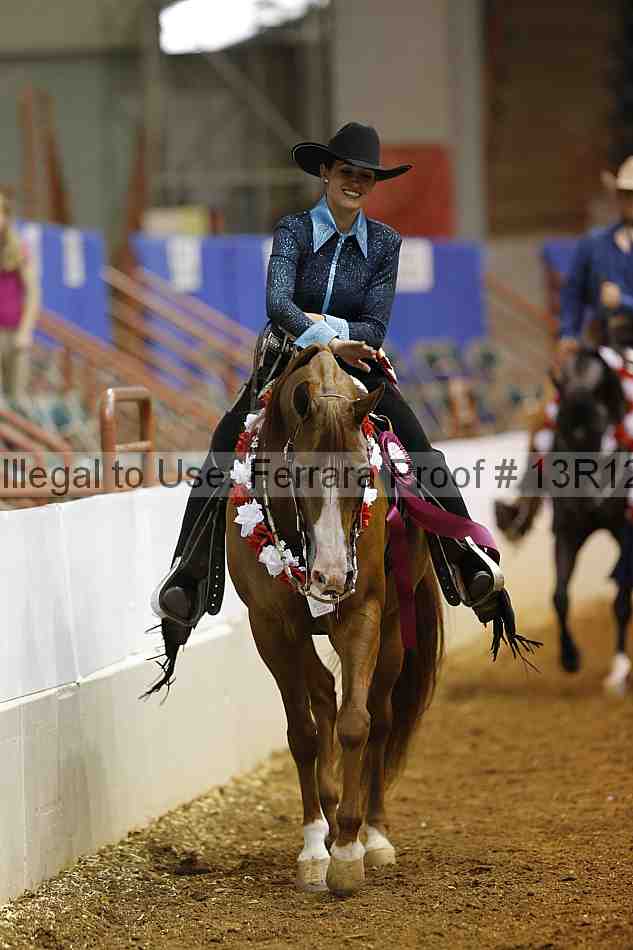 Proof Number 13r12_4604