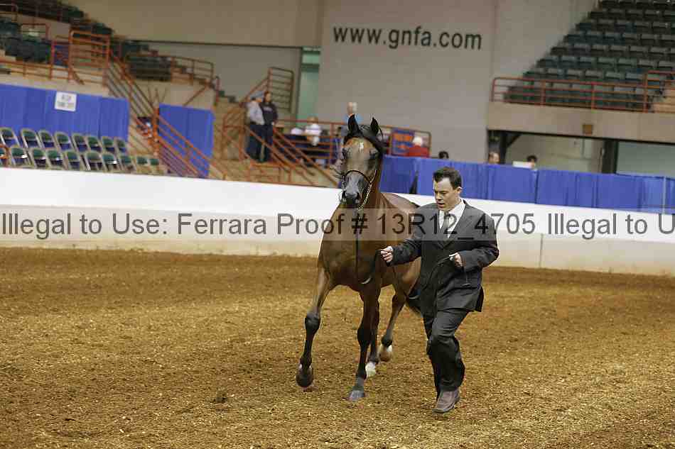 Proof Number 13r12_4705