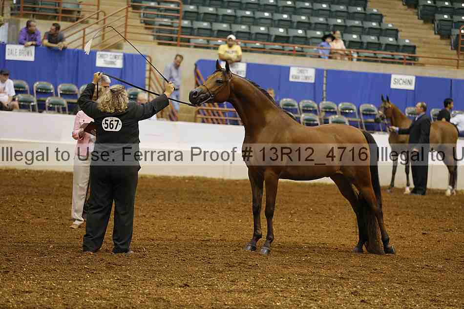 Proof Number 13r12_4716