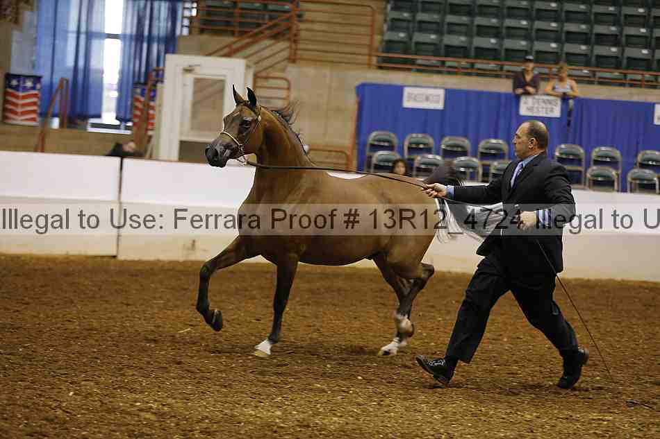 Proof Number 13r12_4724