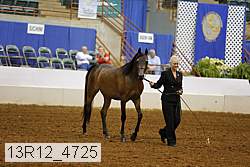 13r12_4725 thumbnail