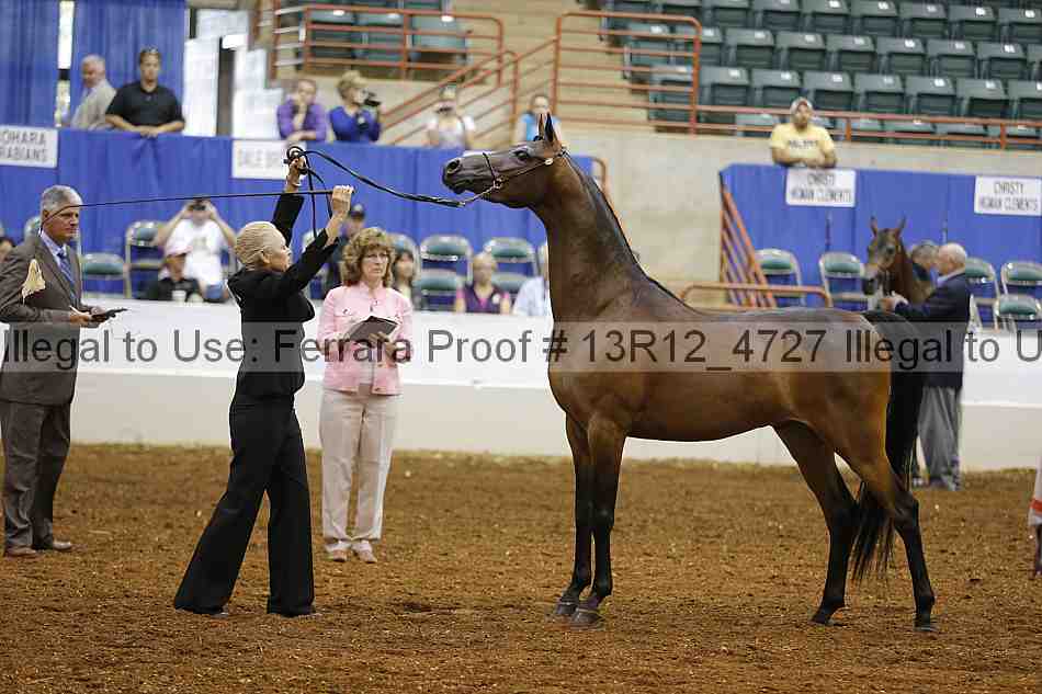 Proof Number 13r12_4727