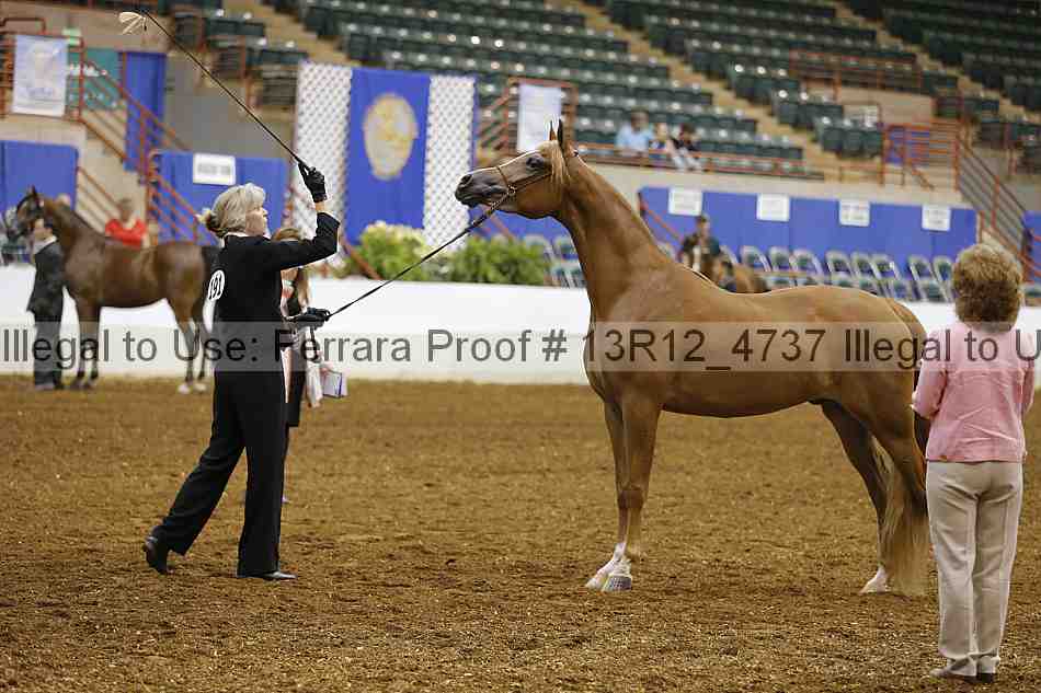 Proof Number 13r12_4737