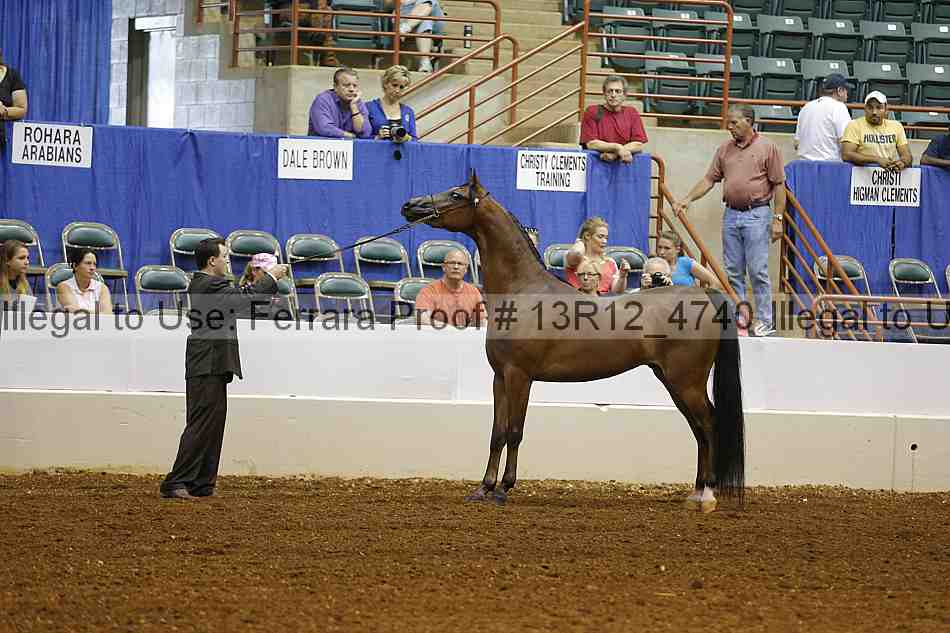 Proof Number 13r12_4740