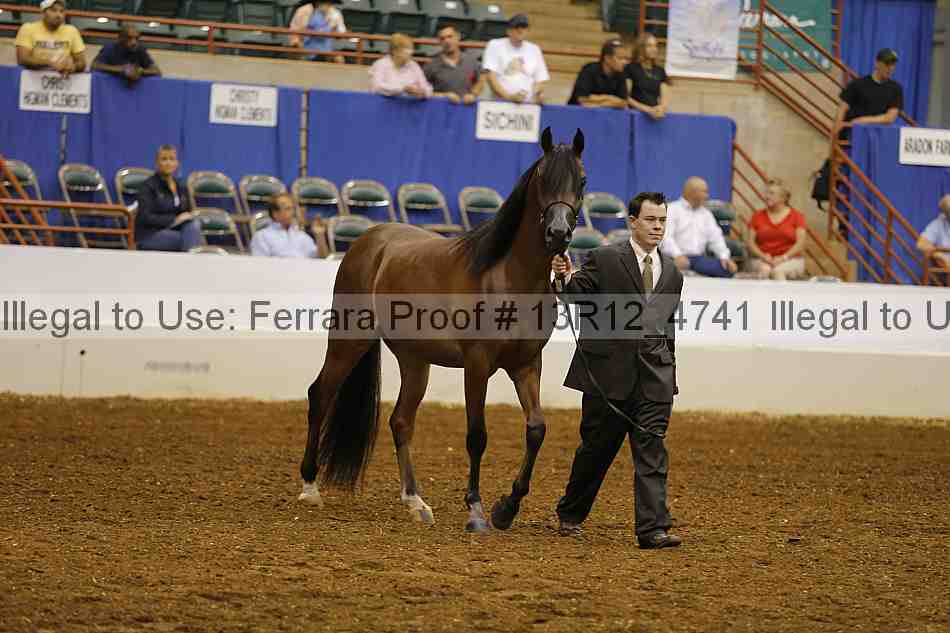 Proof Number 13r12_4741