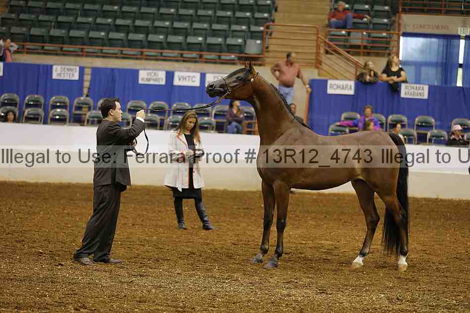 Proof Number 13r12_4743
