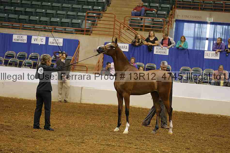 Proof Number 13r12_4745