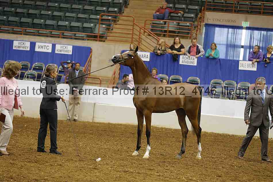 Proof Number 13r12_4746