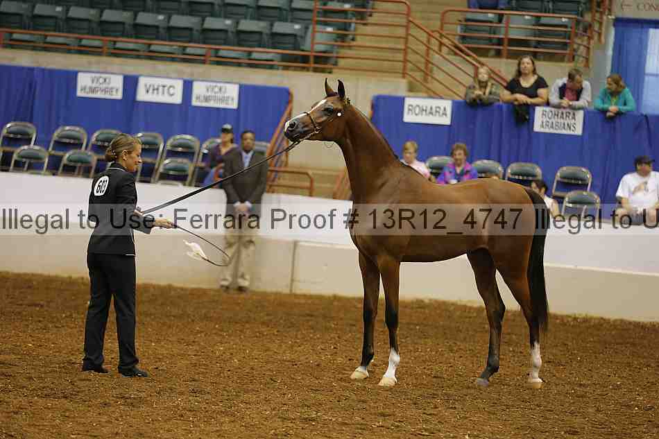 Proof Number 13r12_4747