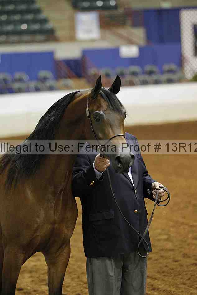 Proof Number 13r12_4749