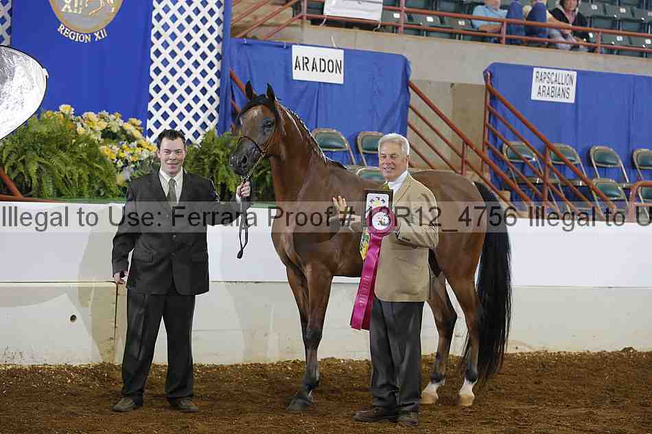 Proof Number 13r12_4756