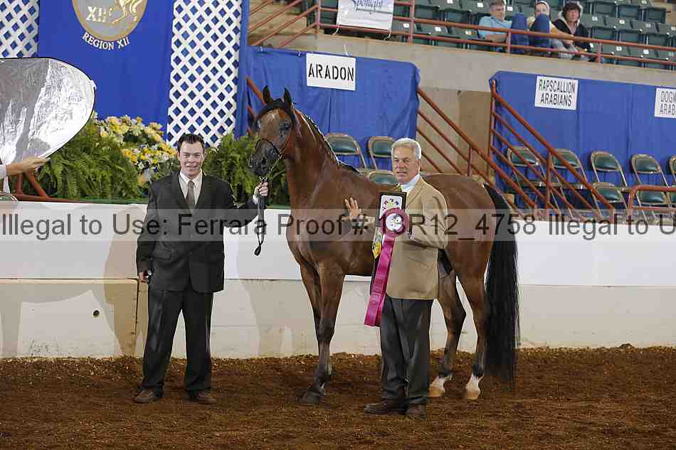 Proof Number 13r12_4758