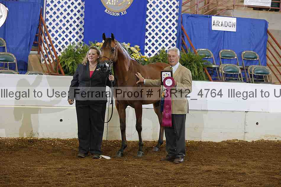 Proof Number 13r12_4764