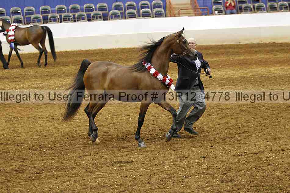 Proof Number 13r12_4778