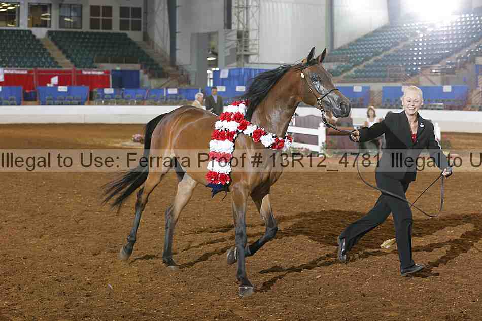 Proof Number 13r12_4781