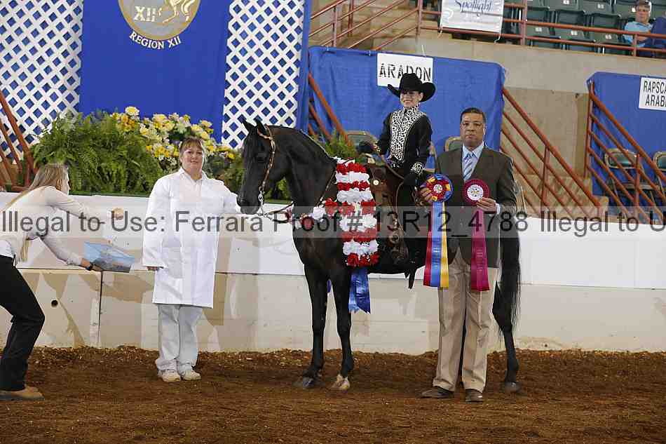 Proof Number 13r12_4788