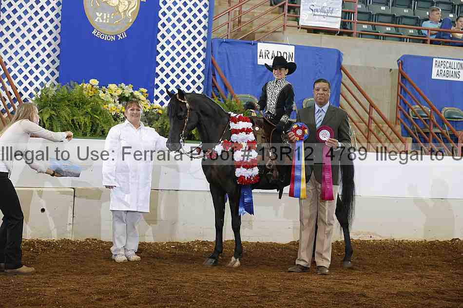 Proof Number 13r12_4789