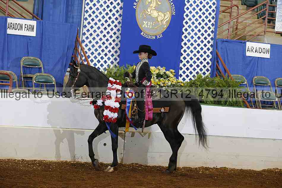 Proof Number 13r12_4794