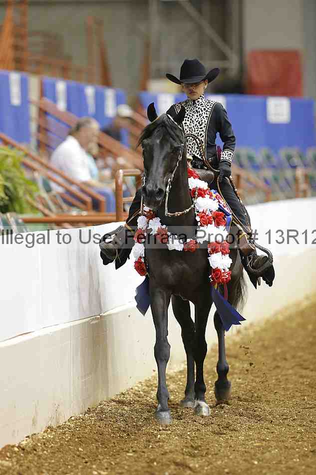Proof Number 13r12_4795