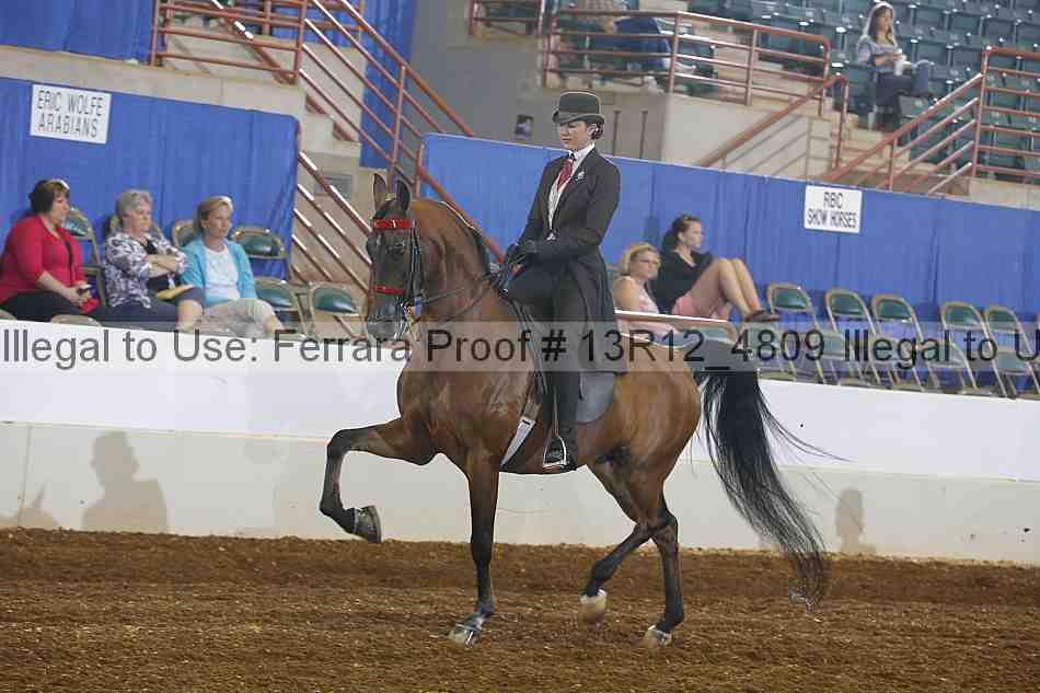 Proof Number 13r12_4809