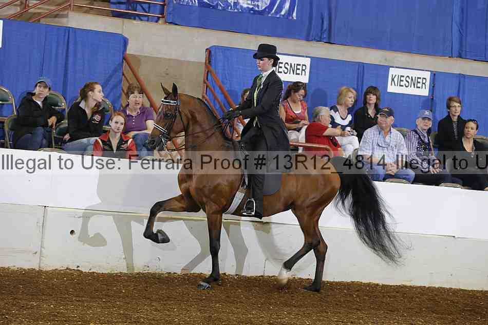 Proof Number 13r12_4814