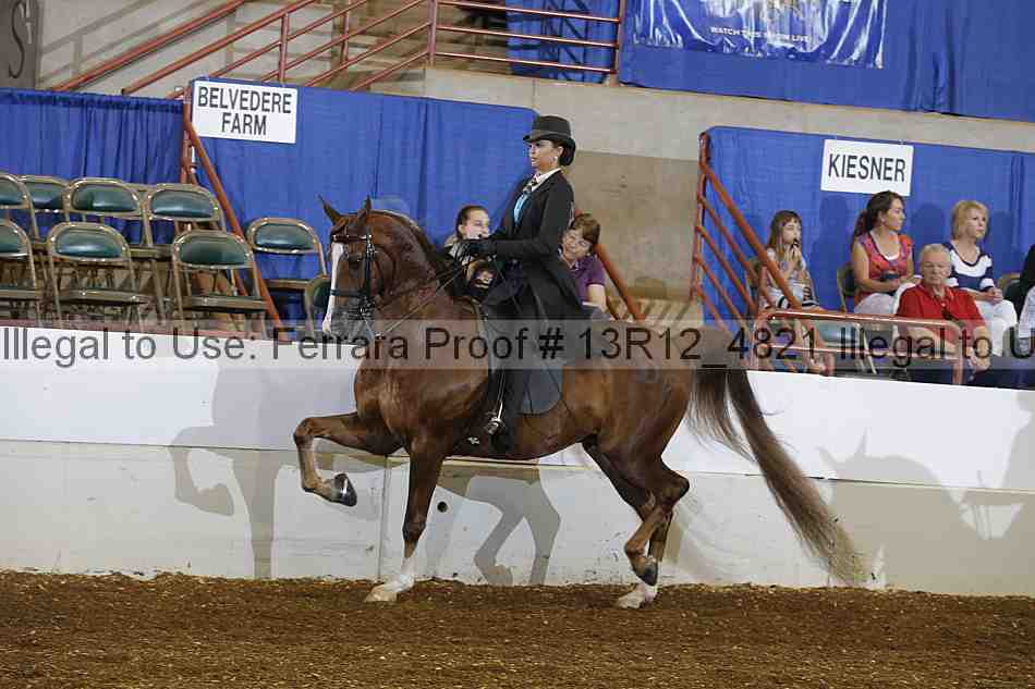 Proof Number 13r12_4821