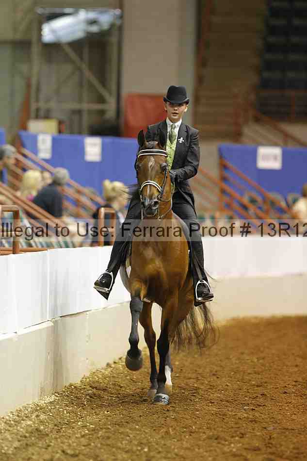 Proof Number 13r12_4822