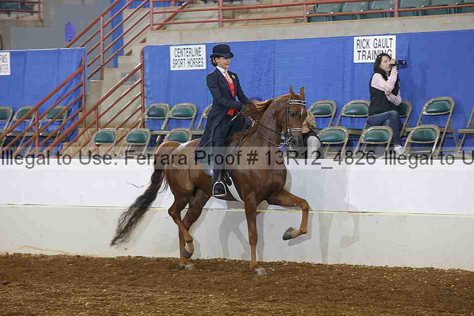 Proof Number 13r12_4826