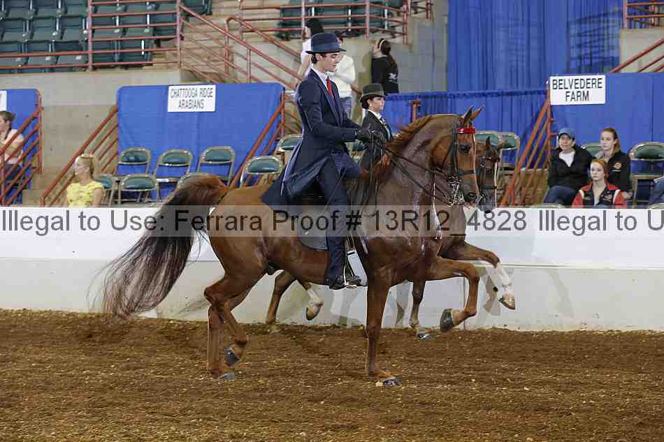 Proof Number 13r12_4828