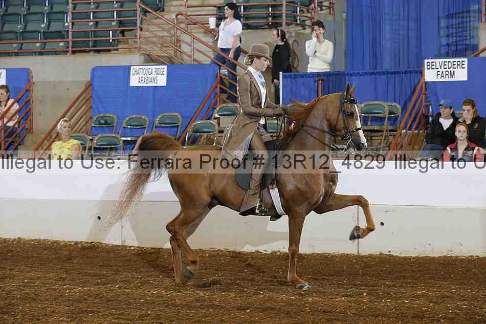 Proof Number 13r12_4829