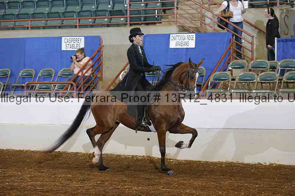 Proof Number 13r12_4831