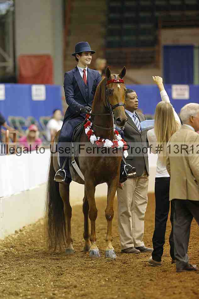 Proof Number 13r12_4839