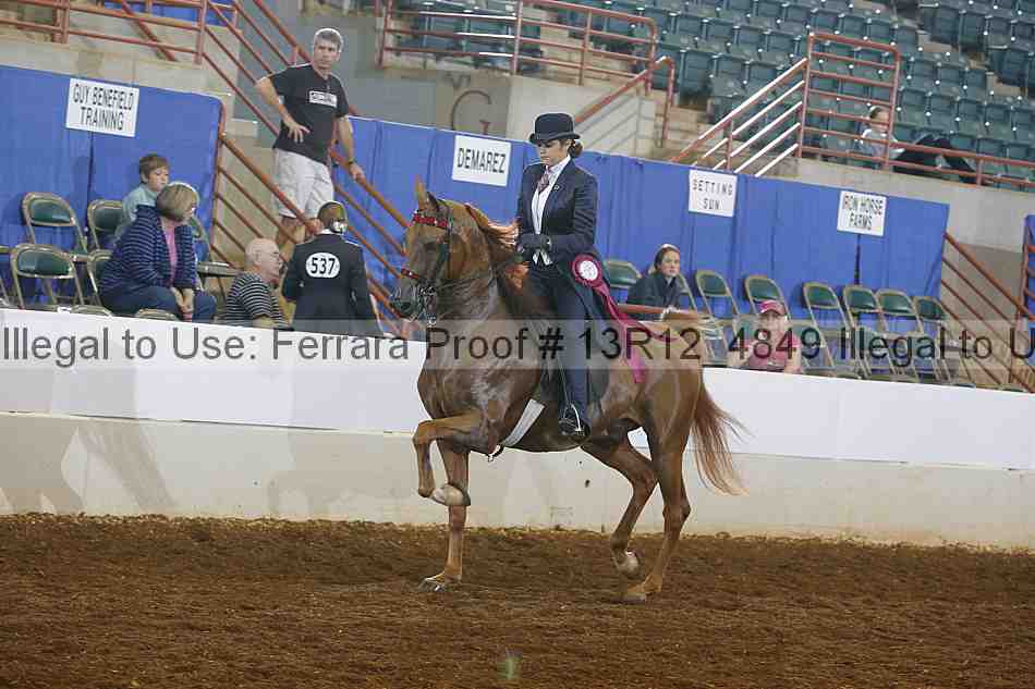 Proof Number 13r12_4849