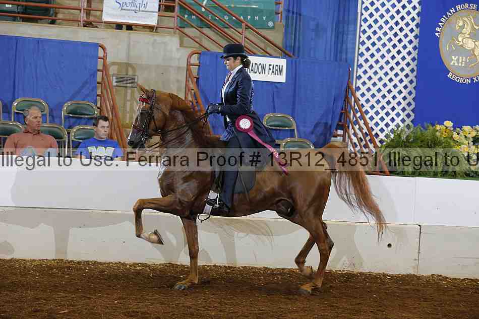 Proof Number 13r12_4851
