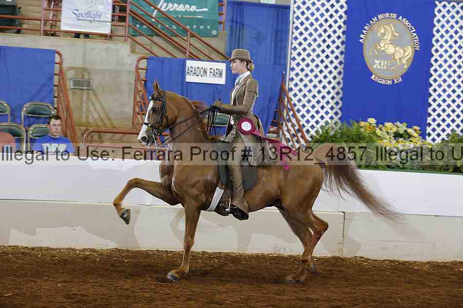 Proof Number 13r12_4857