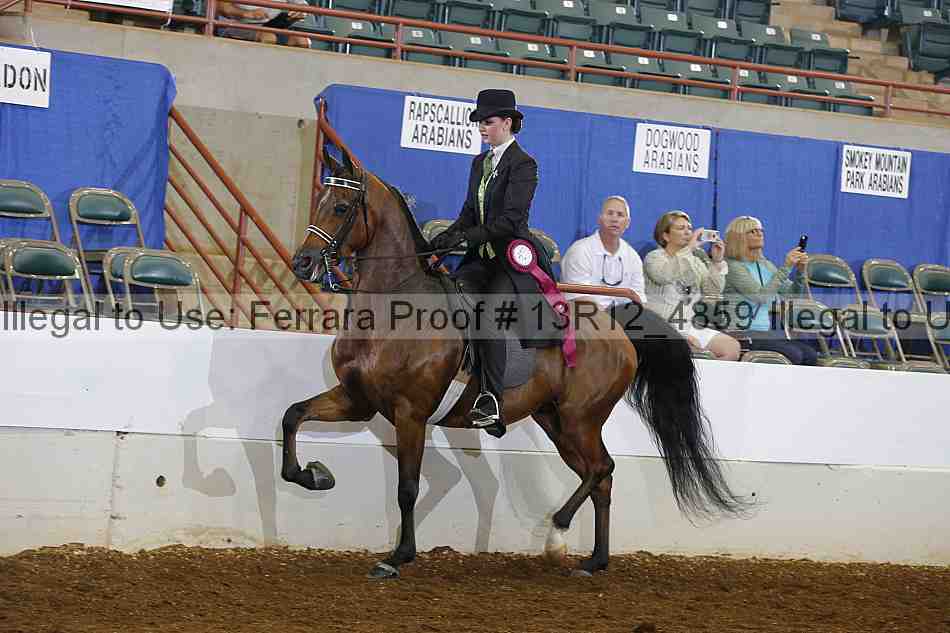 Proof Number 13r12_4859