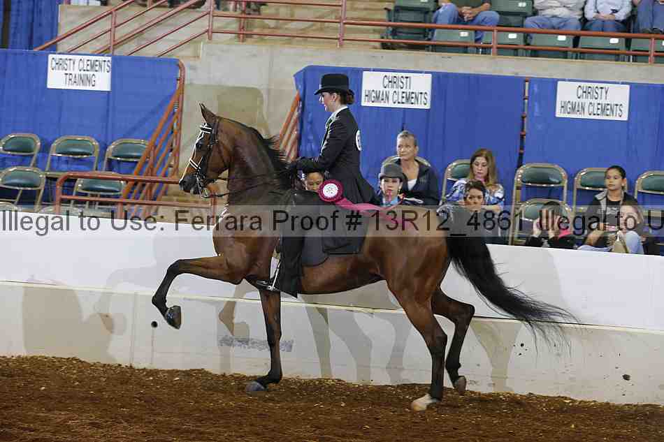 Proof Number 13r12_4861