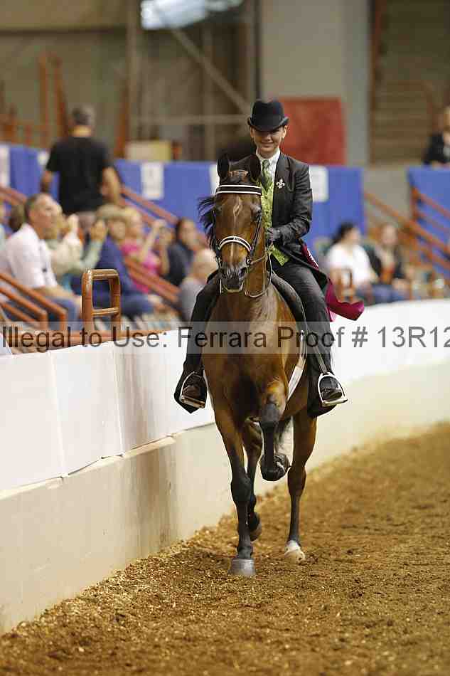 Proof Number 13r12_4862
