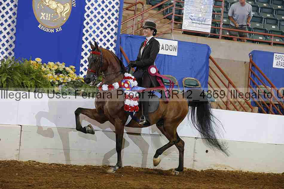 Proof Number 13r12_4869