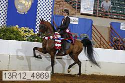 13r12_4869 thumbnail