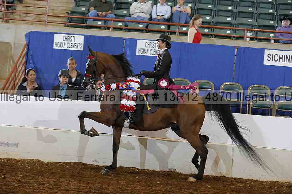 Proof Number 13r12_4870