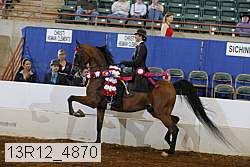 13r12_4870 thumbnail